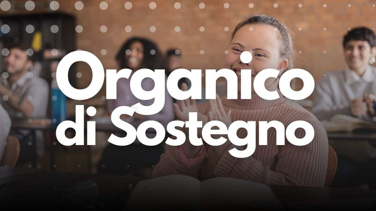 Organico sostegno e adeguamento posti in deroga in Sicilia AS 2023/24: è record, oltre 13mila [Decreto] - Organico di Sostegno