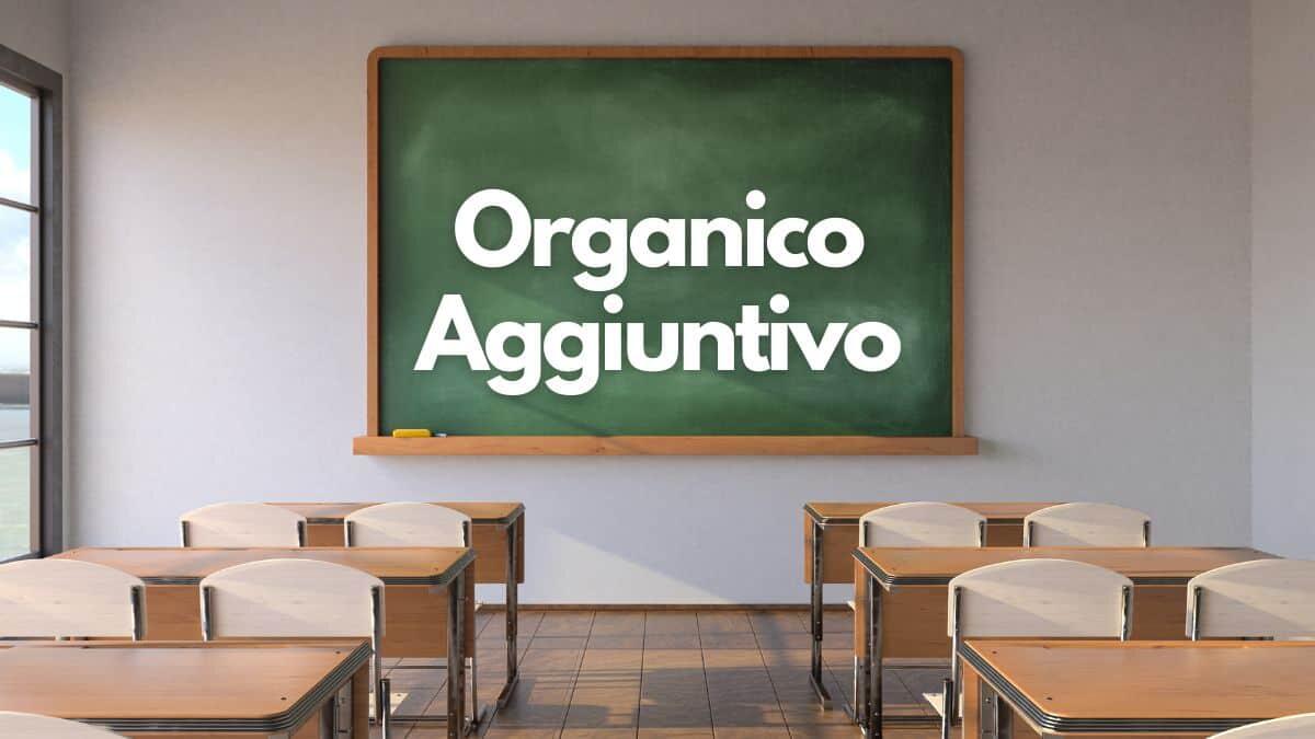 Organico aggiuntivo Personale ATA, Decreto Scuola 71/2024 esclude la proroga: pronta la mobilitazione - Organico aggiuntivo