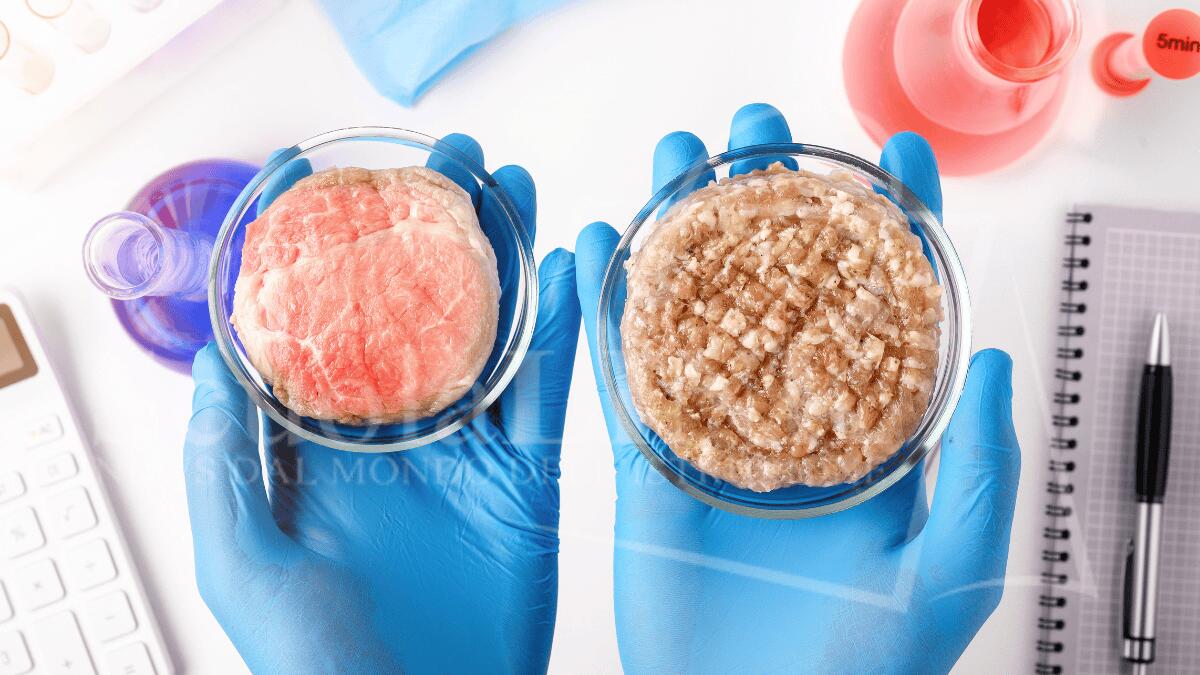 UniTo lancia "CultMeat": crowdfunding per coltivare la carne del futuro - CultMeat