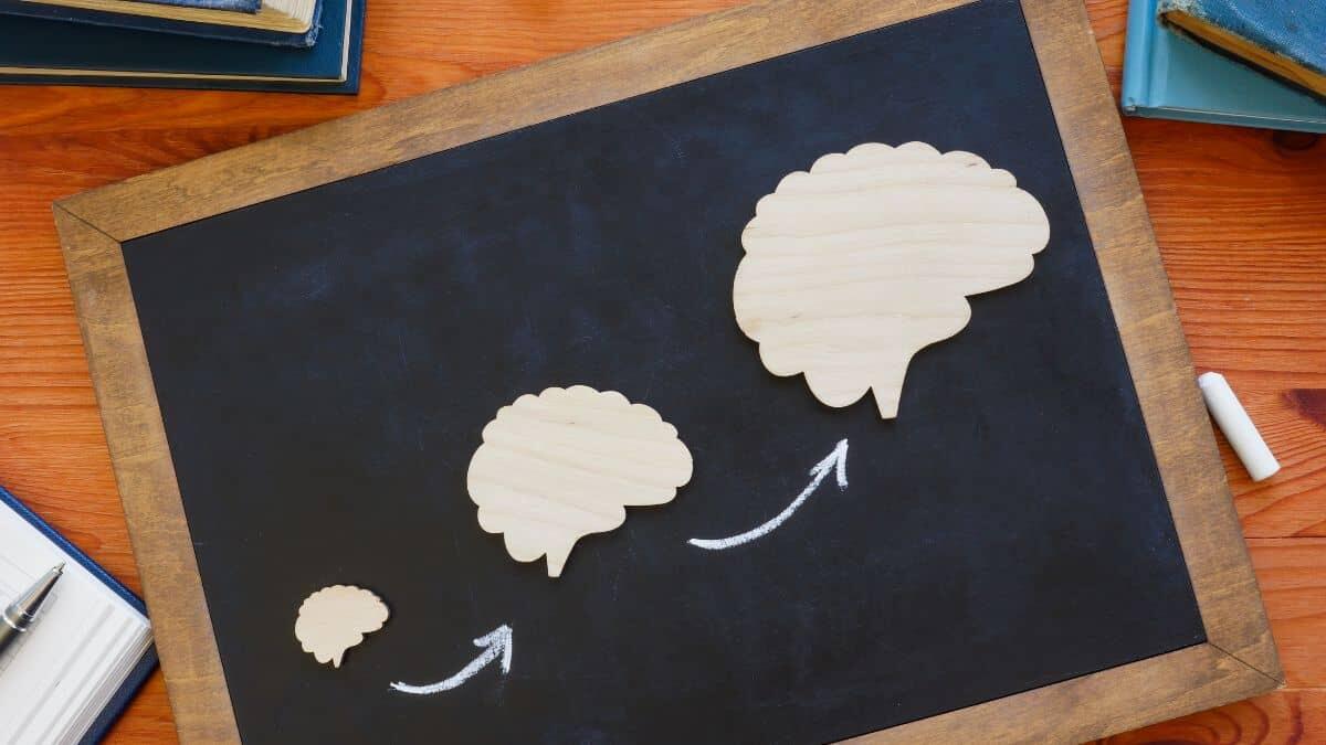 Lifelong learning: il viaggio dell'apprendimento infinito - lifelong learning