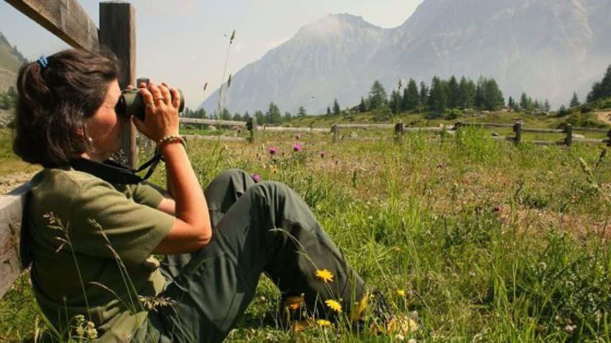 Nuovo concorso per Guardia Parco a tempo indeterminato - concorso forestale