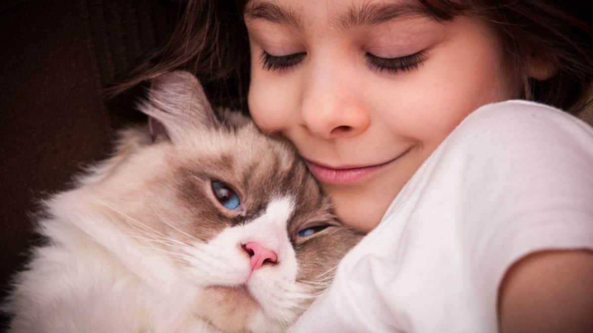 Pet Therapy con i gatti in ospedale: un aiuto concreto ai piccoli pazienti - Pet therapy