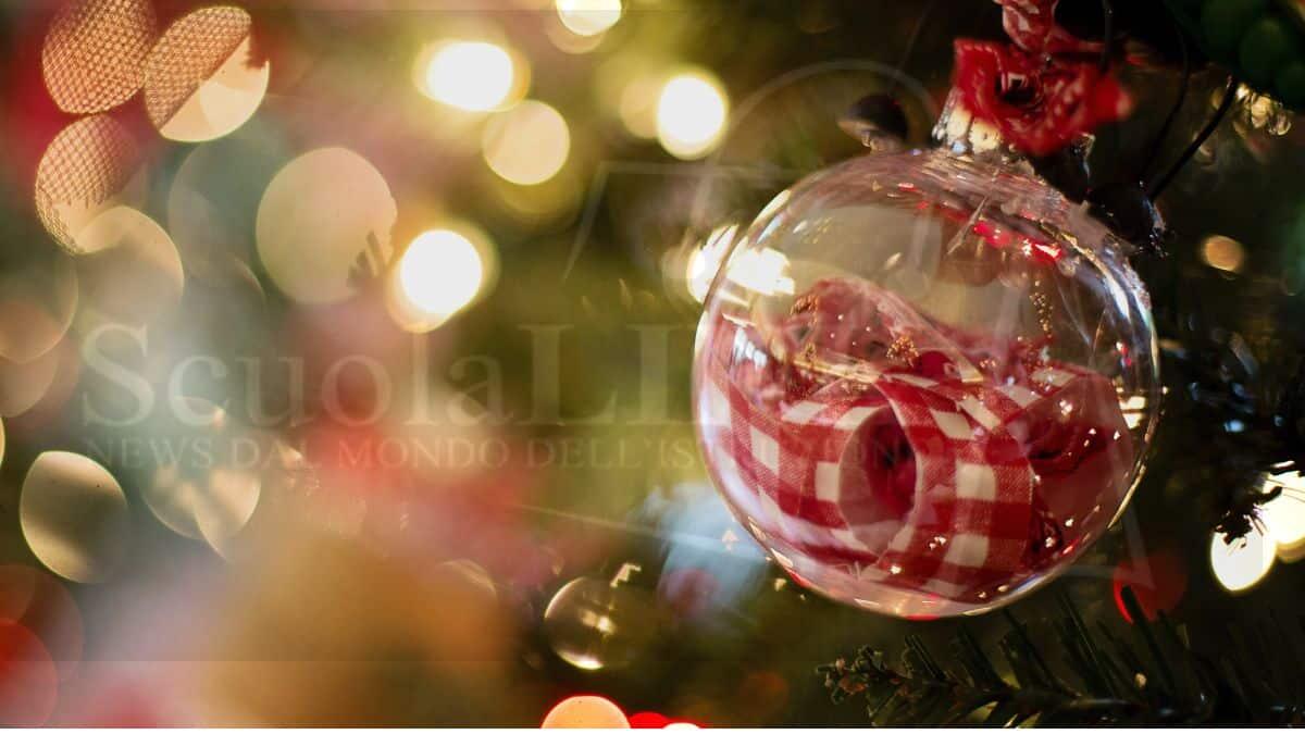 Gestione della festività dell'8 dicembre 2024: compensi e regole per i lavoratori - Festa dell'Immacolata