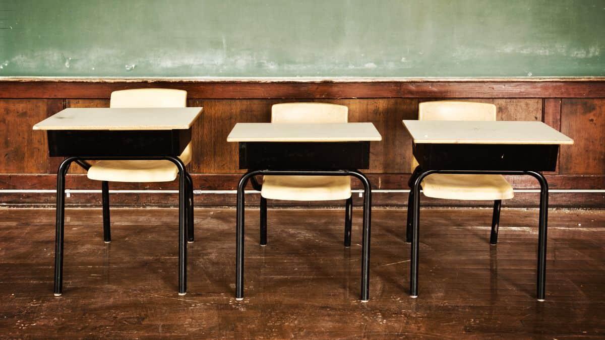Nuove cattedre di sostegno per i docenti precari Calabresi: sono 19 i posti disponibili nel cosentino - Mobilità ATA