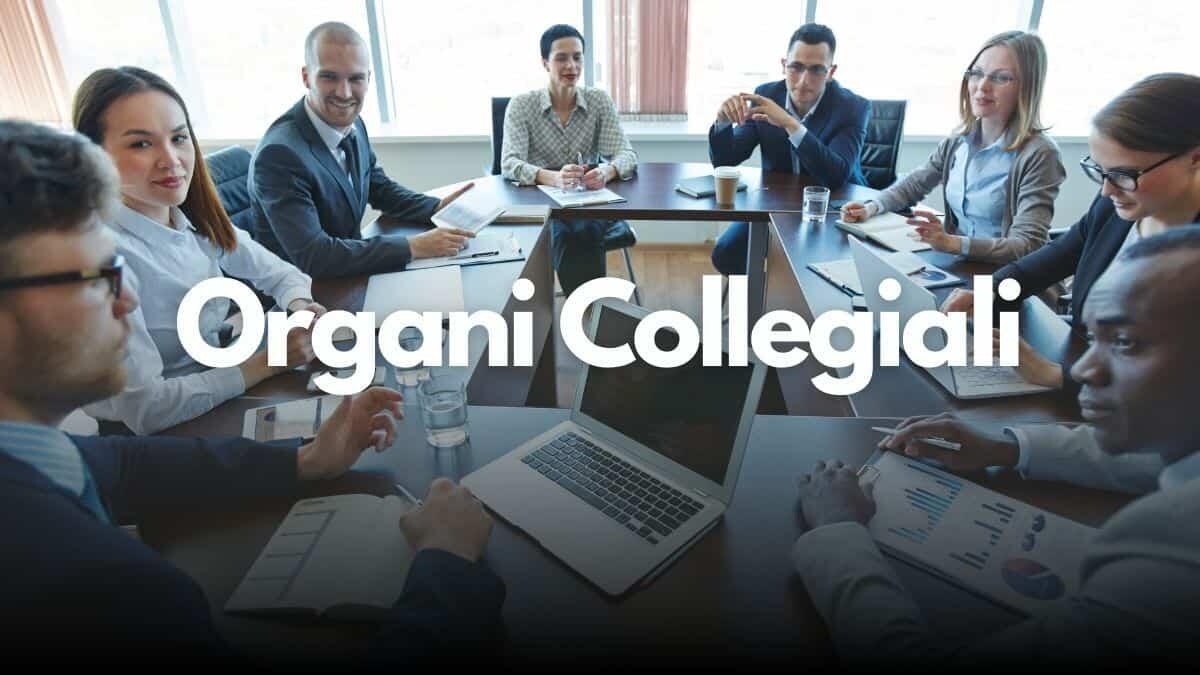 Riforma degli organi collegiali: allarme sulla scuola democratica - Organi Collegiali