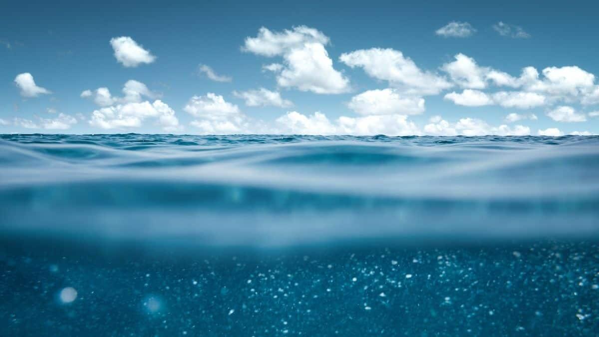 Concorso nazionale studentesco per la Giornata del Mare e della cultura marina 2025: scadenza 21 Marzo - Giornata del Mare e della cultura marina
