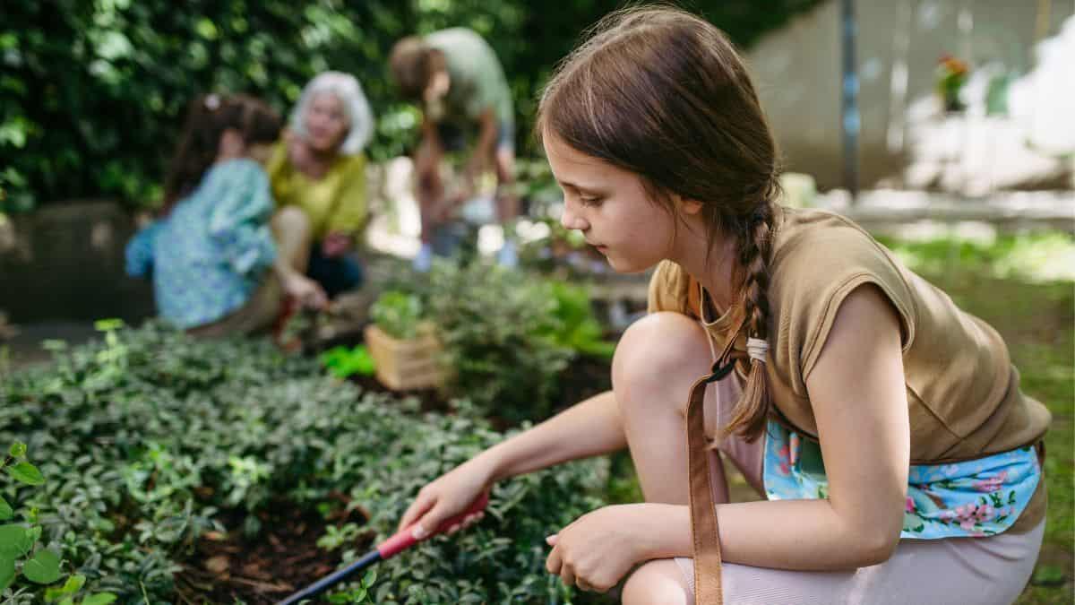 Scuola e sostenibilità: come le aule stanno diventando più verdi per il futuro del pianeta - Sostenibilità