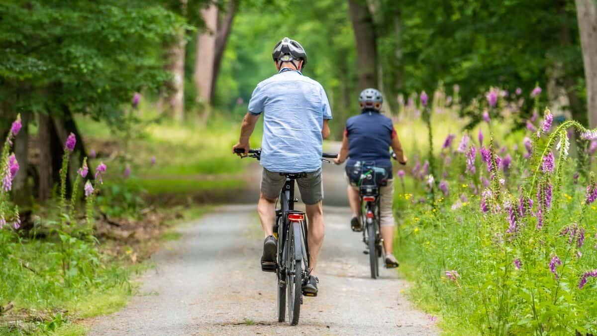Bonus bici 2025: incentivi regionali per una mobilità sostenibile - bonus bici