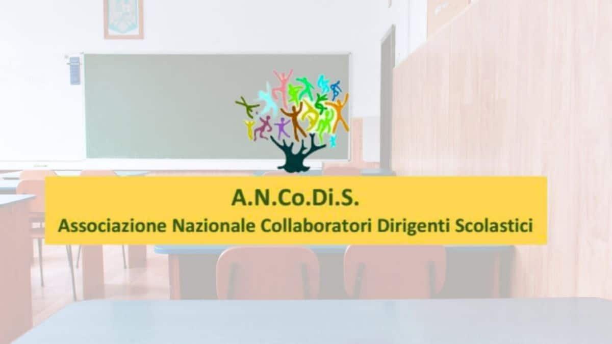 Rinnovo contrattuale scuola: ANCoDiS chiede riconoscimento e carriera per le figure di sistema - A.N.Co.Di.S.