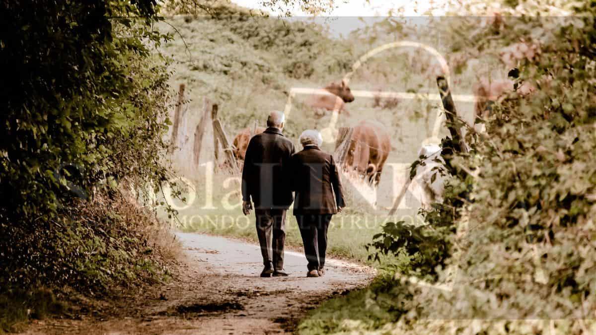 Bonus pensionati 350 Euro: un aiuto concreto per le pensioni minime - pensione