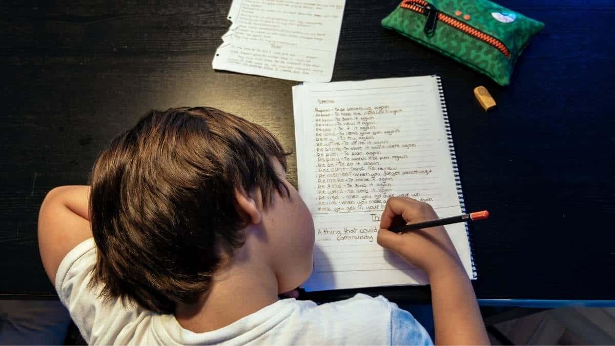 Ortografia e successo scolastico: perché è fondamentale scrivere correttamente - Ortografia