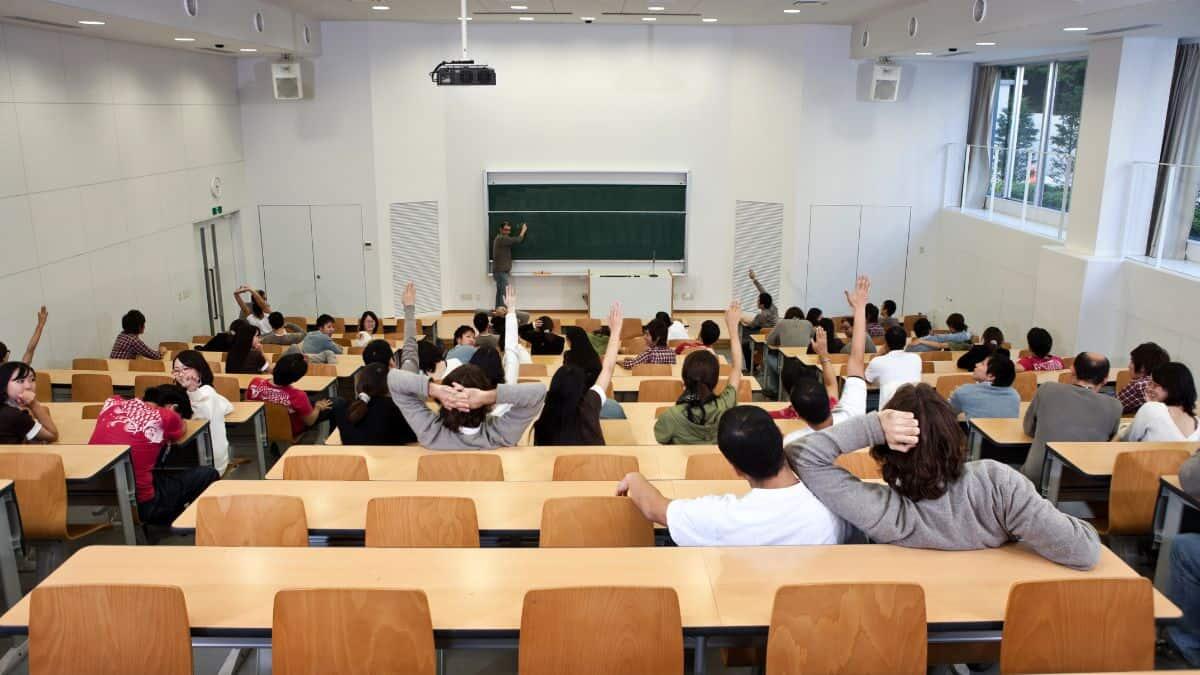 Concorso Università Magna Graecia di Catanzaro: 10 posti per diplomati - concorso università