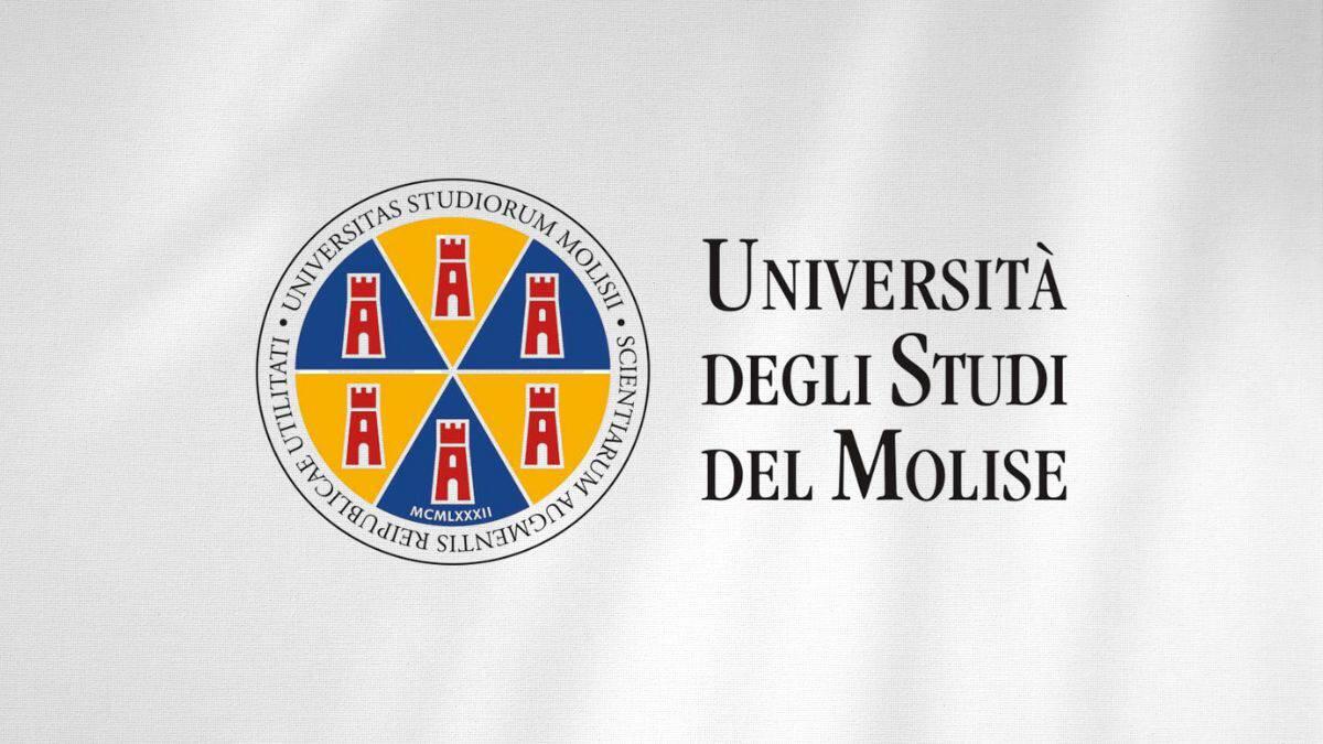 Percorsi abilitanti presso UniMol: le nuove classi di concorso, scadenza domande 25 marzo - Università degli Studi del Molise