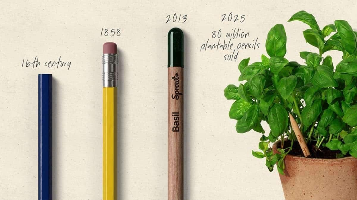 Giornata internazionale della matita: un simbolo di apprendimento che guarda al futuro - Giornata Internazionale della matita