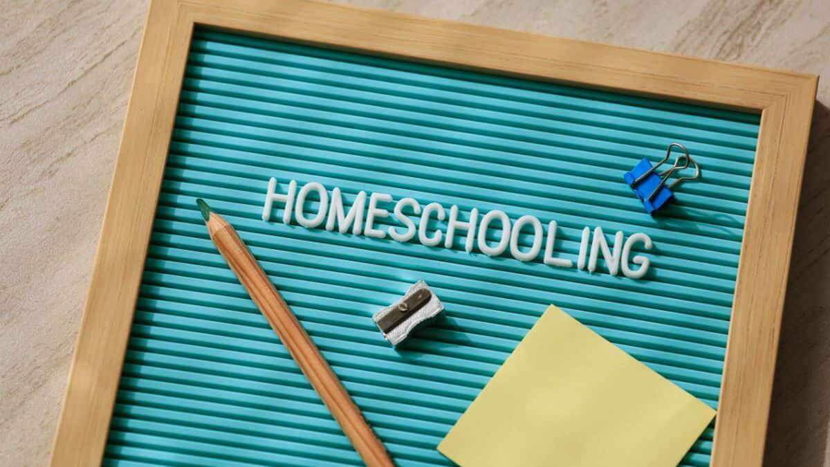 Istruzione parentale: cresce il numero dei genitori verso l'homeschooling - Homeschooling