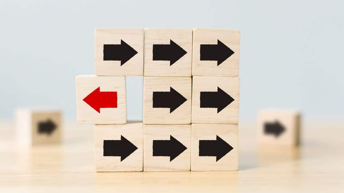 Apprendimento differenziato: un modello didattico per valorizzare ogni studente - Apprendimento differenziato