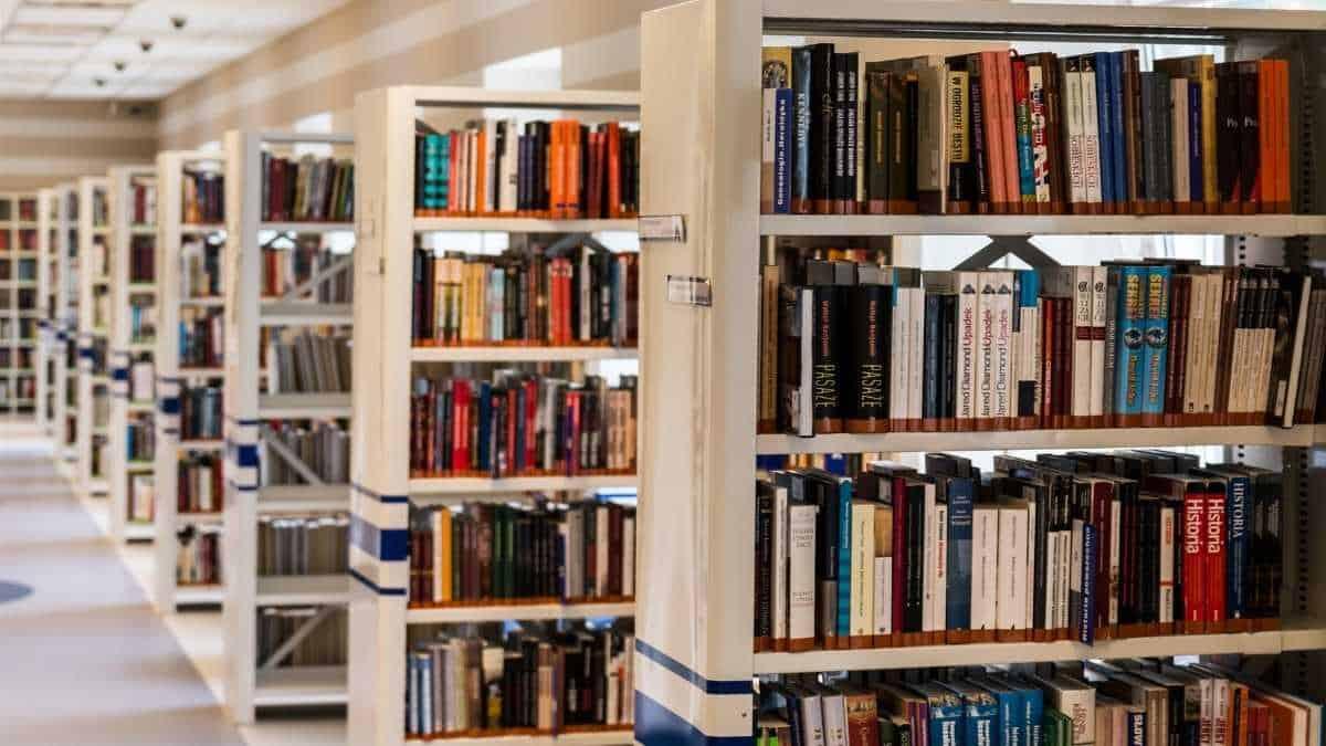 Bando ATA Archivio e Biblioteca: pubblicata la selezione 2024/2025 - Catalogatori di libri