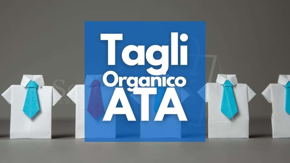Organici ATA 2025/2026: FLC CGIL chiede più posti per affrontare il PNRR - Tagli Organico ATA
