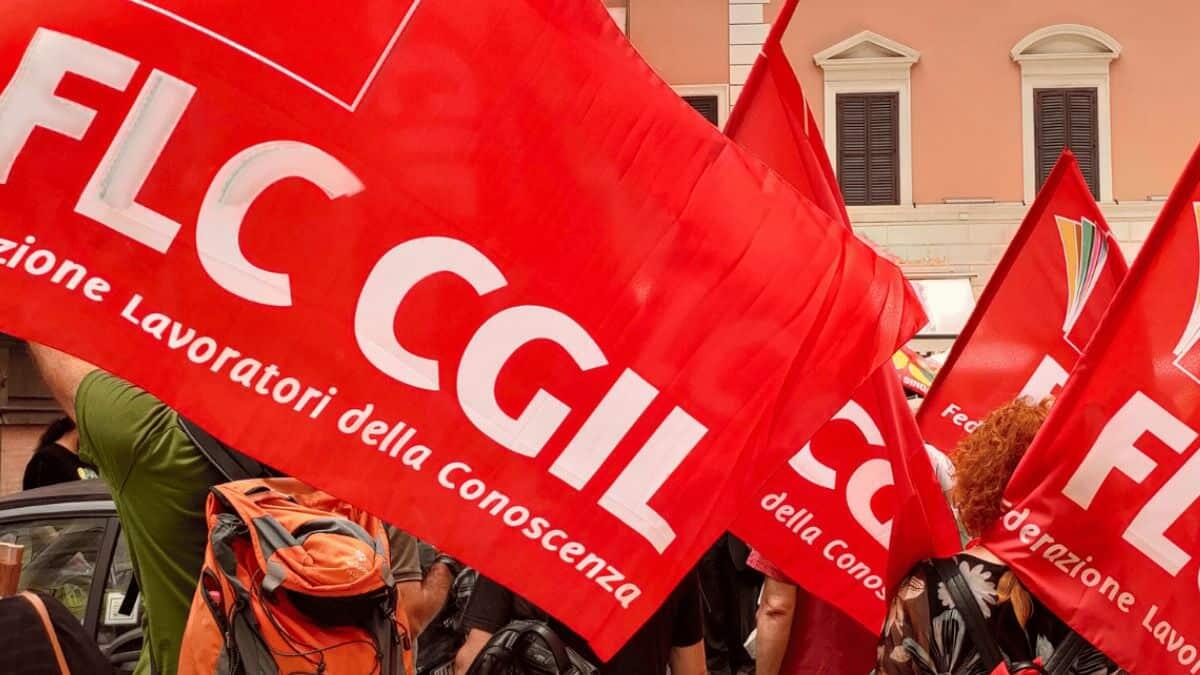 Elezioni RSU 2025 al CNR: la FLC CGIL conquista la maggioranza delle rappresentanze - Protesta con bandiere FLC CGIL
