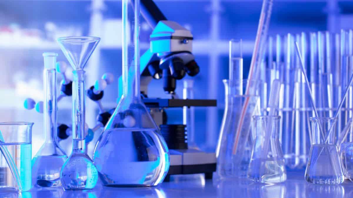 LAV promuove la didattica senza sperimentazione animale nelle scuole - didattica scientifica senza sperimentazione animale