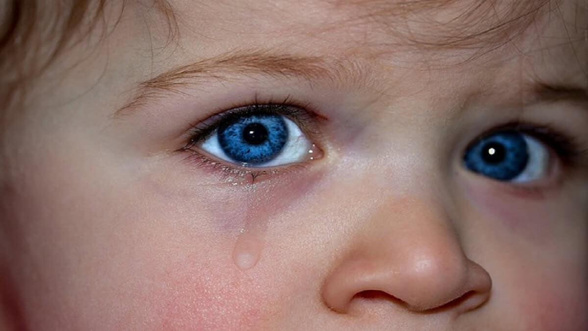 Educatrici sospese per presunti maltrattamenti in una scuola dell’infanzia - Asilo maltrattamento