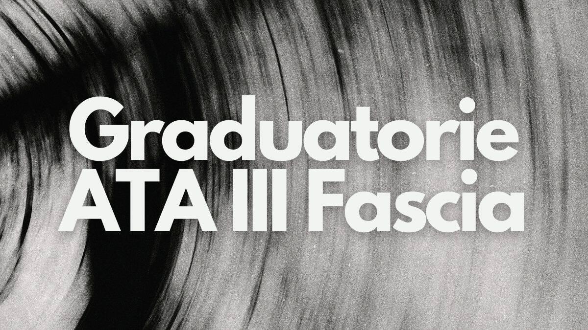 Graduatorie ATA terza fascia: ancora in riserva in attesa della validazione della domanda - Graduatorie ATA III Fascia