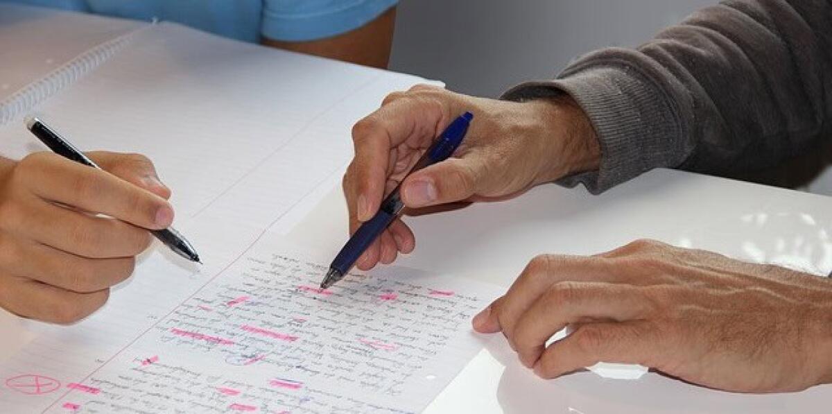 Indire sostegno: accreditamento universitario e tempistiche del percorso [Precisazioni] - Insegnante di sostegno