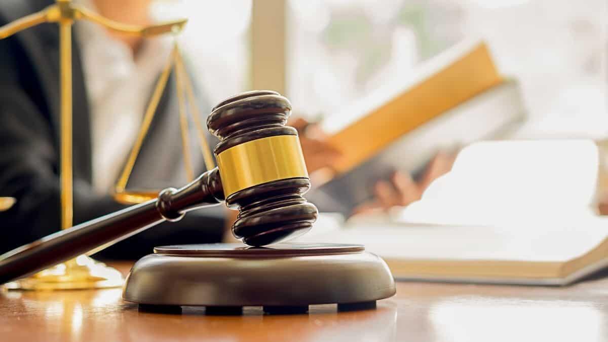 Carta del docente: tre nuove sentenze riconoscono il diritto anche agli insegnanti precari - Tribunale