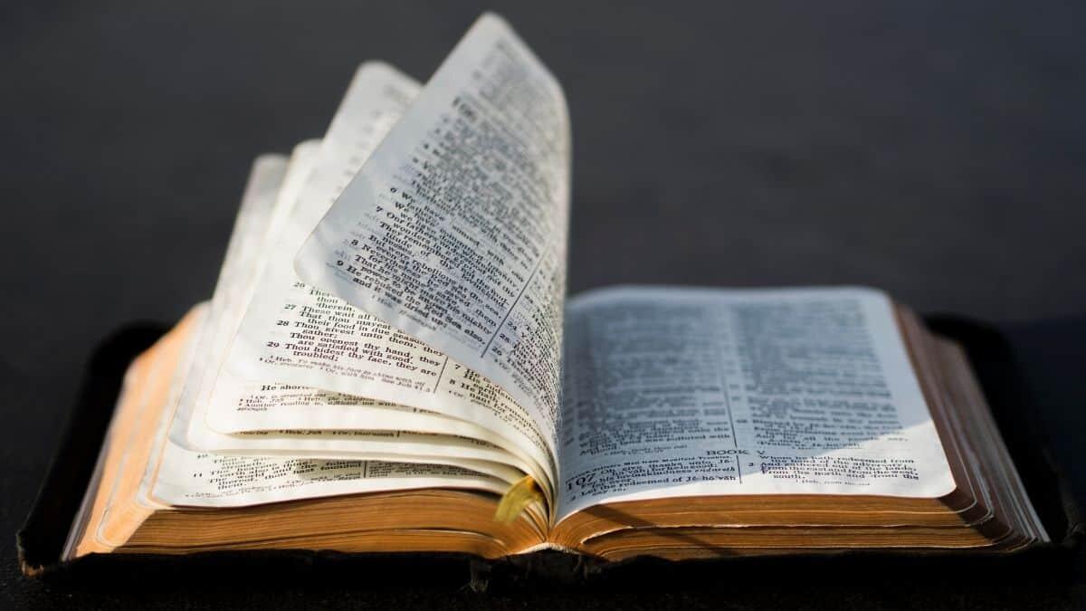 Decreto PA, accolti gli emendamenti Anief sul reclutamento dei docenti di religione cattolica: le novità - Concorso ordinario IRC Materie di studio