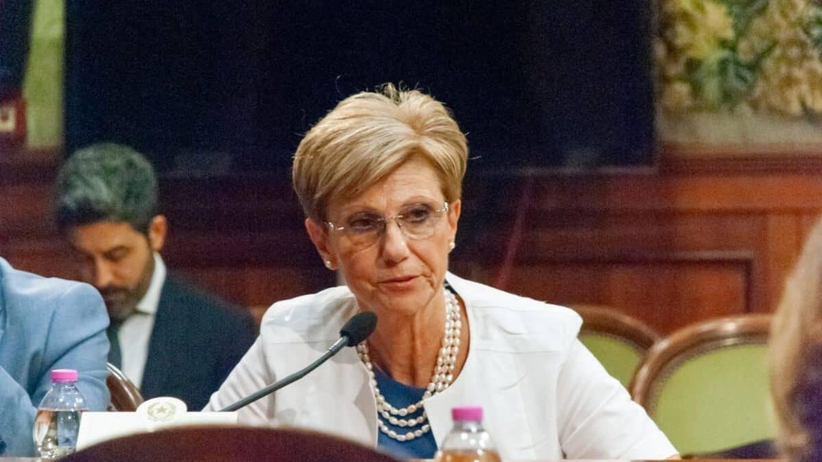 Contratto scuola, Snals: rinnovo immediato e una formazione pagata dallo Stato - Elvira Serafini