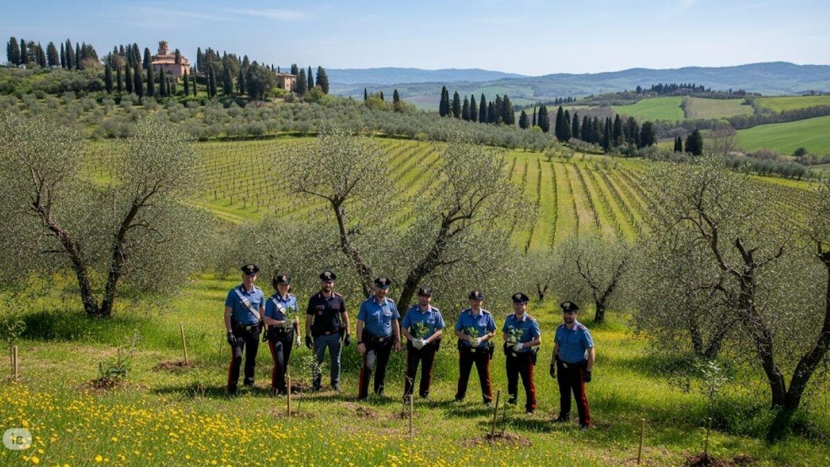 Concorso Carabinieri 2025: bando per 4.918 allievi da impiegare nella tutela ambientale, scade il 7 luglio - Carabinieri in un appezzamento di terreno