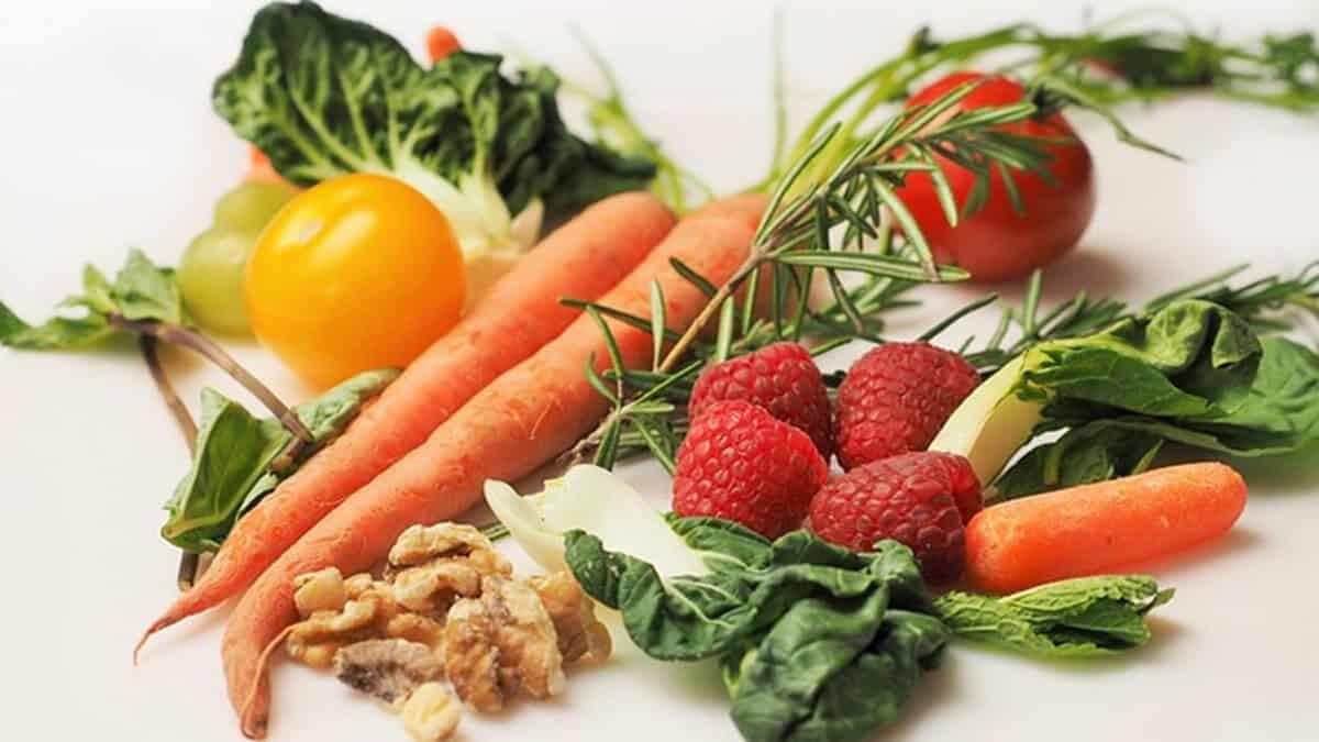 Università e dieta vegetale: al via lo studio Vithas sulla salute - Dieta vegetale