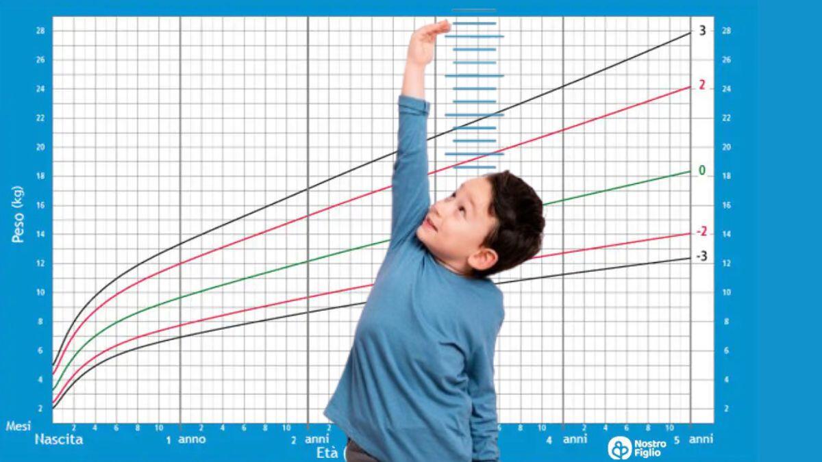 La generazione Z è più bassa delle precedenti: cause e prospettive - Trend di crescita