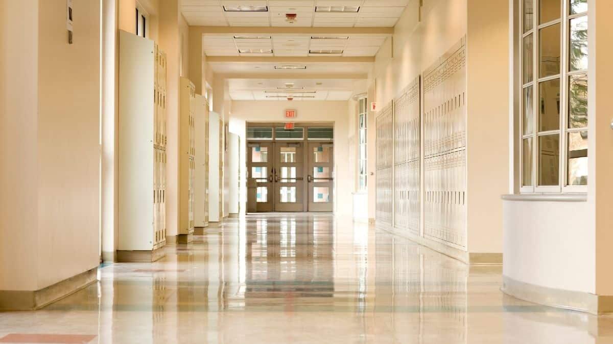 Dimensionamento scolastico, nessuna riduzione in Puglia: salvi 565 istituti per il 2026/27 - Dimensionamento Scolastico