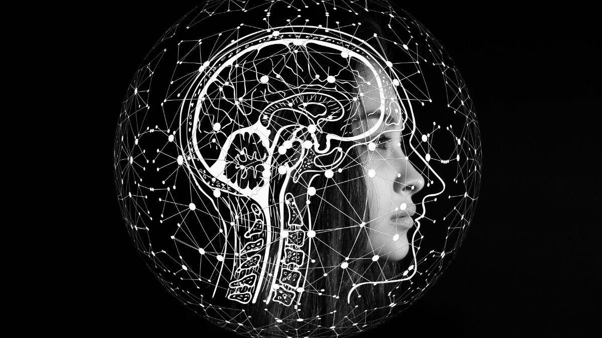 Scoperta la persistenza della neurogenesi nell’uomo: il cervello resta plastico per tutta la vita - Neurogenesi
