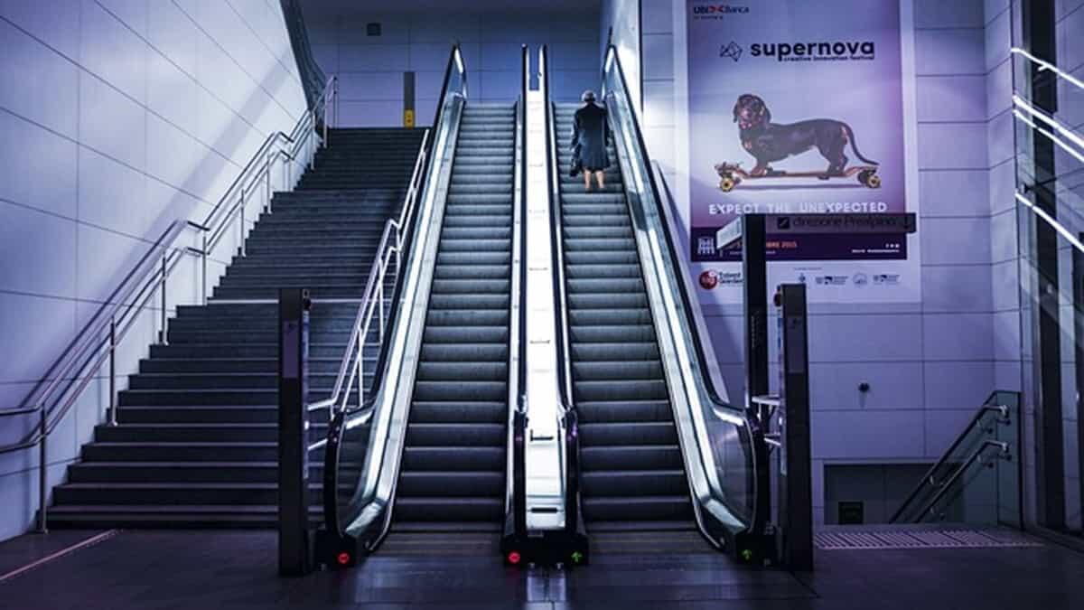 Assegnazioni provvisorie 2025/26: ordine delle operazioni passo dopo passo - mobilità scale mobili