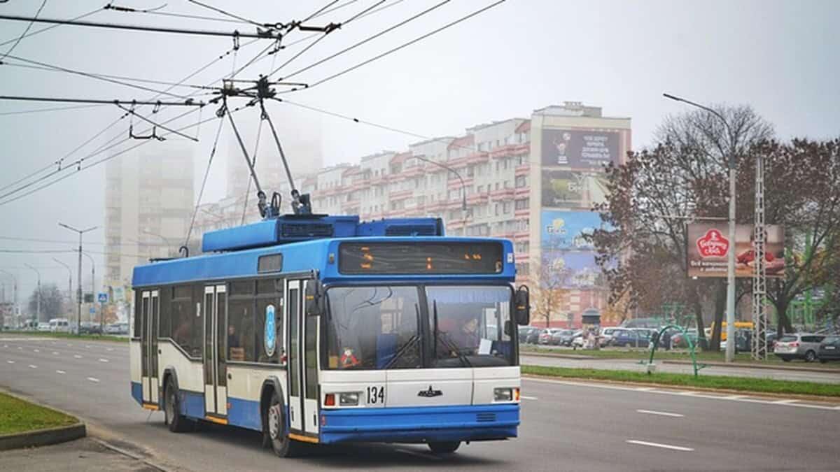 Assegnazioni provvisorie 2025/26: tra le deroghe anche quella per genitori over 65 - Mobilità in filobus