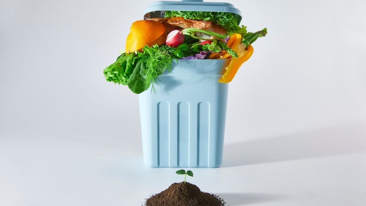 Spreco alimentare: Italia sopra la media UE nel 2025 - spreco alimentare