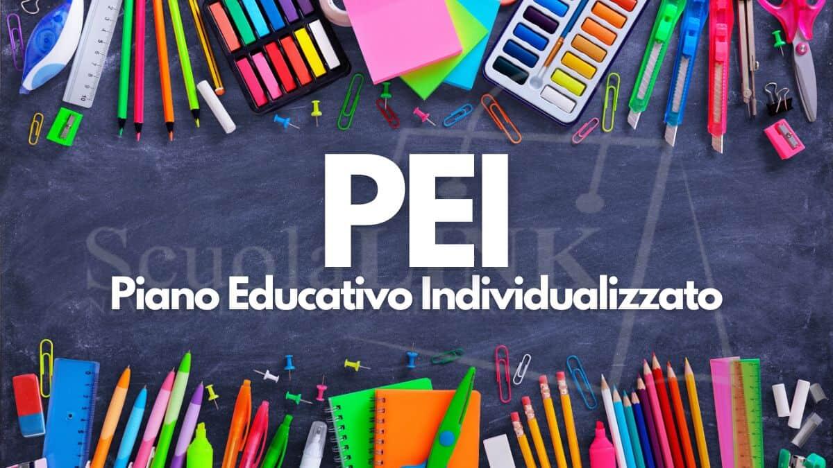 Webinar sul PEI informatizzato: guida alla compilazione - PEI Piano Educativo Individualizzato