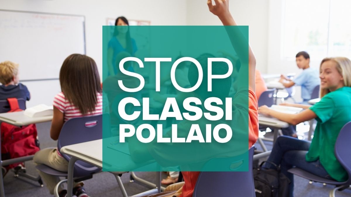 Qual è il numero ideale di studenti per classe? Una proposta seria di AVS in Friuli Venezia Giulia - Classi Pollaio