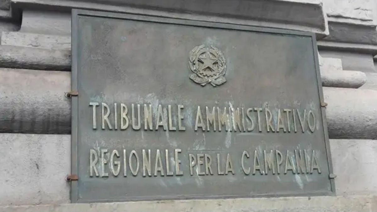 Carta del docente: MiM condannato a pagare 2.500 euro ad una supplente entro 60 giorni - Tar Campania