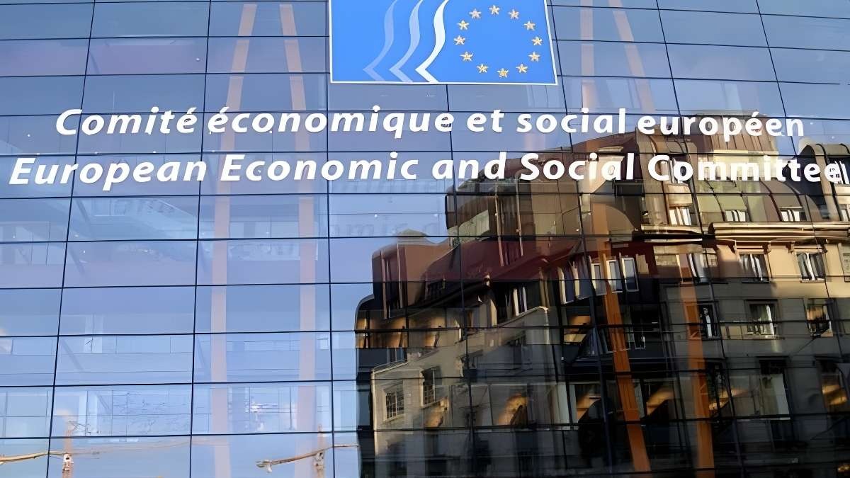 Insegnanti di sostegno: l'Europa accoglie il ricorso Anief e condanna il precariato - Comitato europeo dei diritti sociali