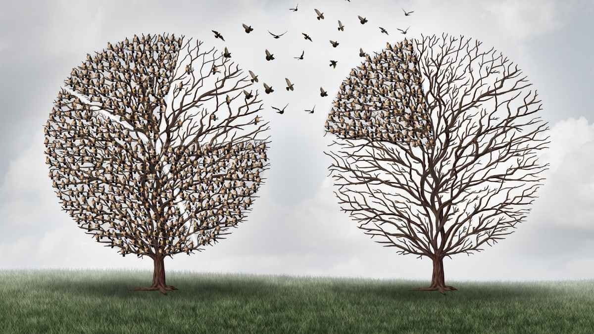 Mobilità docenti 2026: chiarimenti su passaggio di ruolo e Legge 104 - Trasferimento