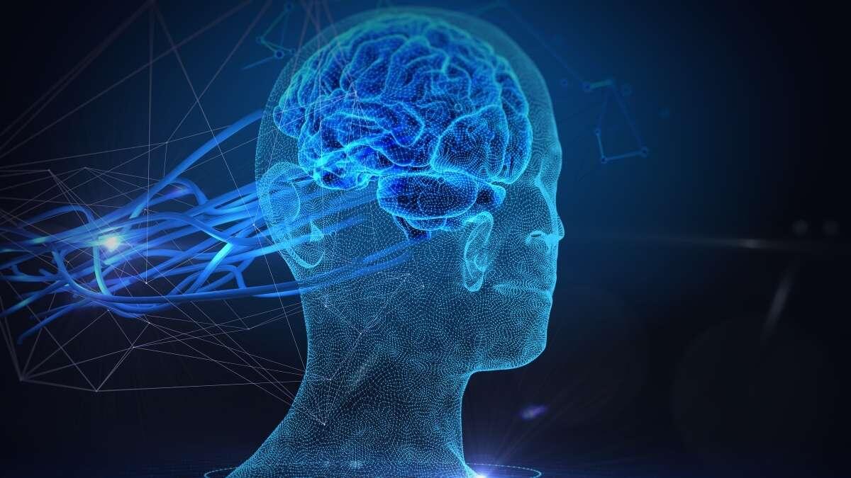 Neuroscienze e abitudini nocive: 10 libri per 'riprogrammare' la mente - Neuroscienze e didattica