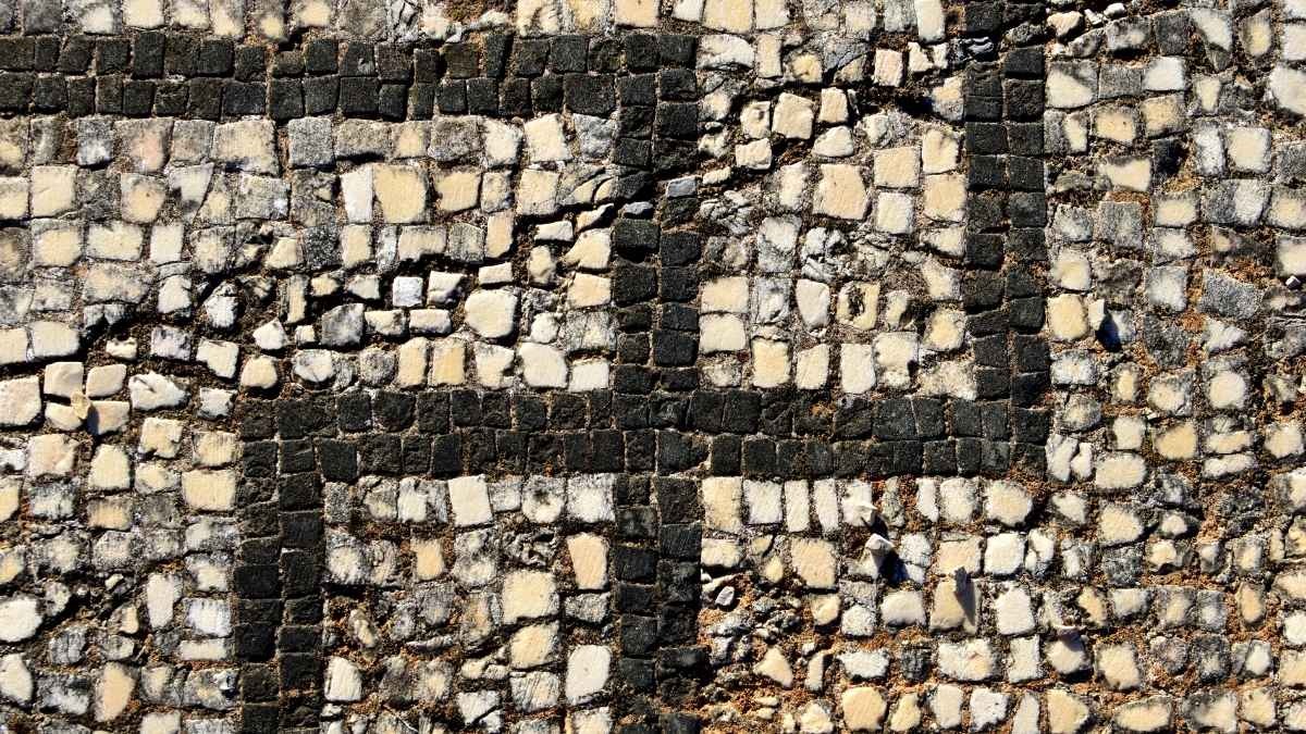 Garbagnate (MI), svastiche a scuola: preside lancia allarme radicalizzazione - Svastica