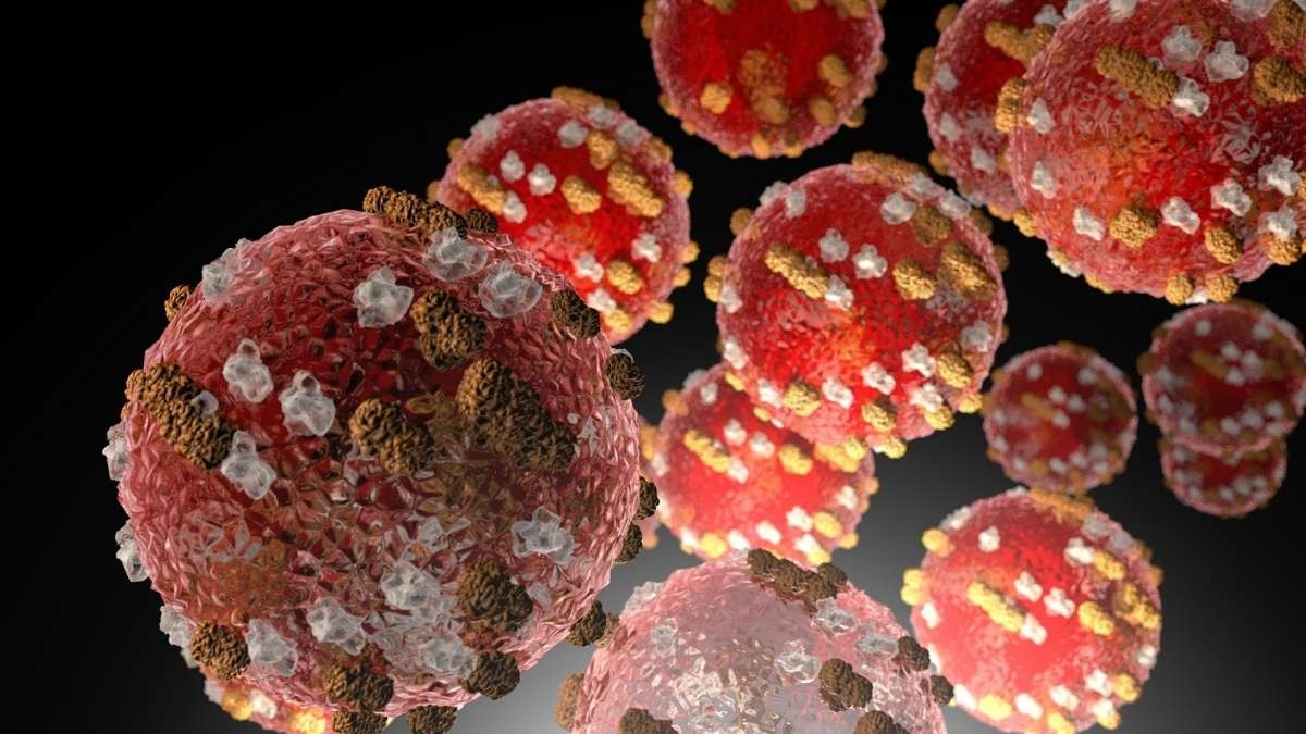 Focolaio di morbillo a Enfield (Londra): scuole in allerta con obbligo di quarantena per i non vaccinati - Morbillo