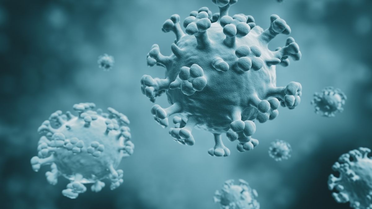 Influenza aviaria: il primo caso umano di H9N2 in Italia - 