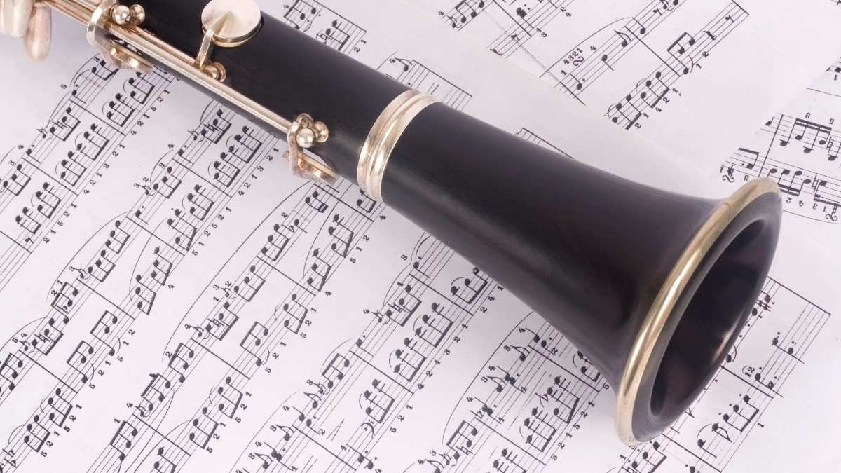 Educazione musicale a scuola: benefici scientifici e sfide economiche, proposta in Parlamento - 