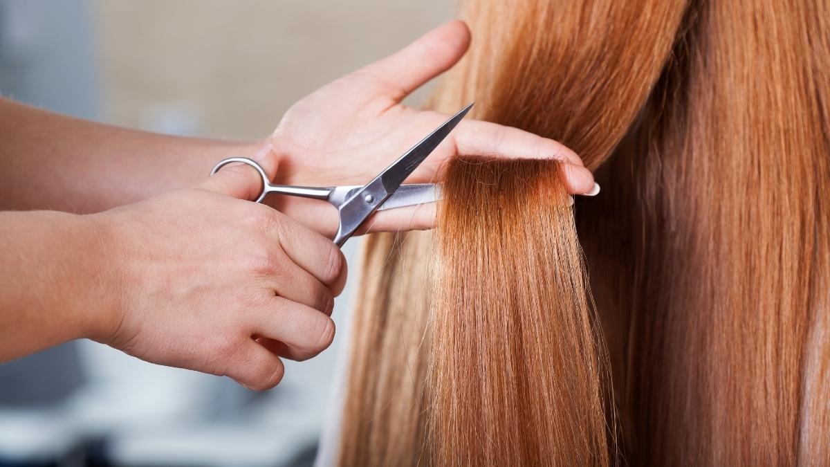 Docente sospesa per il taglio di capelli a due alunne: interviene l'ufficio scolastico - 