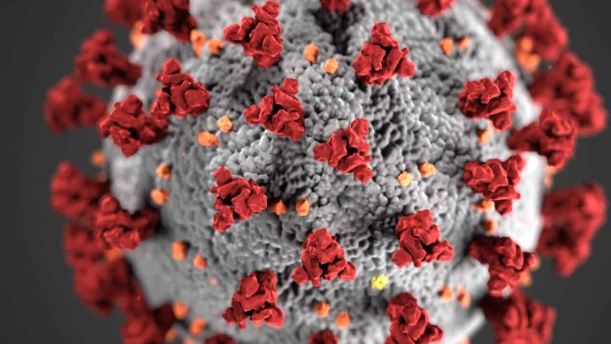 Variante Cicada: l'evoluzione del virus tra mutazioni e vaccini - Covid 19